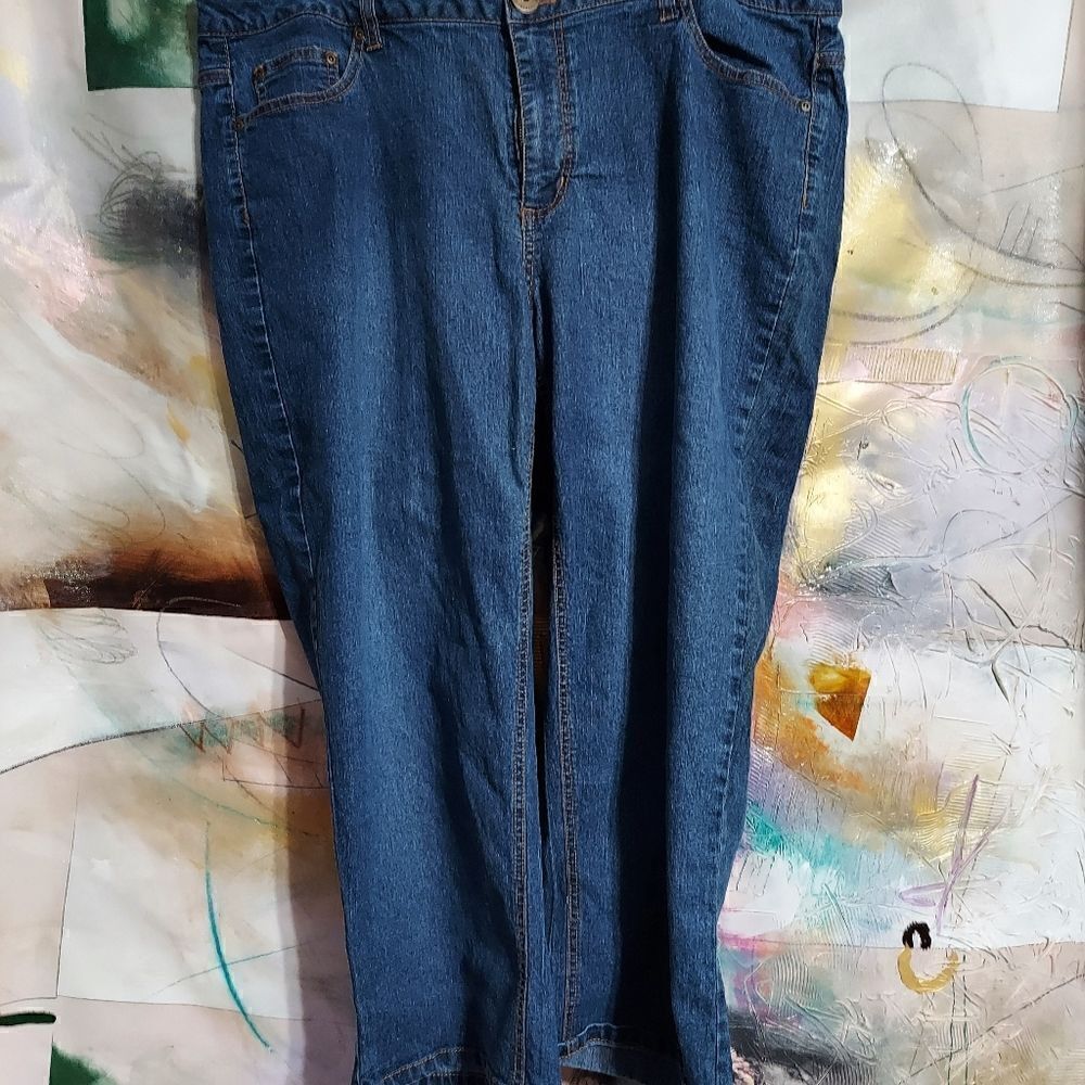 Relatively capris size 18W waist 41" inseam 24